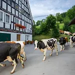 Bio Ferienbauernhof Voss *
