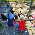 Bio Ferienbauernhof Voss * Schmallenberg
