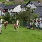 Bio Ferienbauernhof Voss Daire Schmallenberg