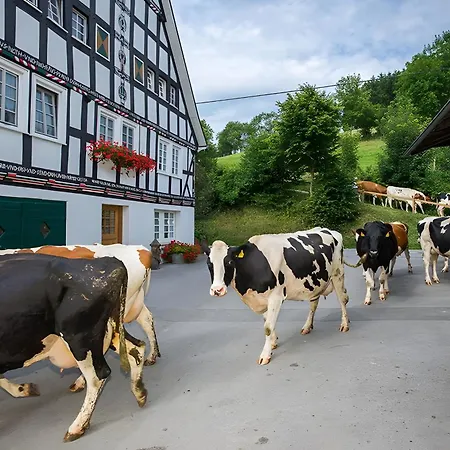 דירה Bio Ferienbauernhof Voss שמאלנברג