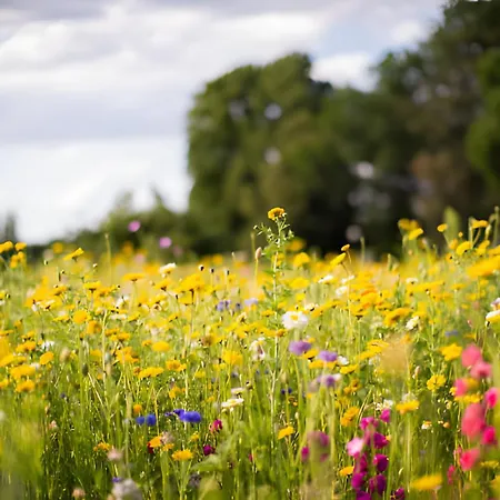 Bio Ferienbauernhof Voss * שמאלנברג