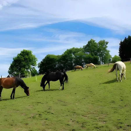דירה Bio Ferienbauernhof Voss *