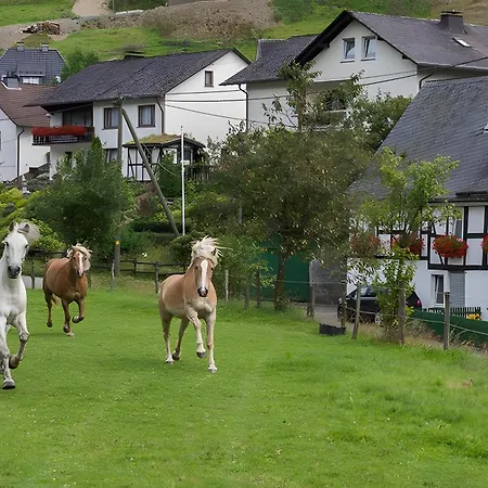 Bio Ferienbauernhof Voss