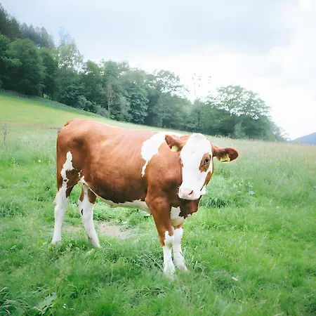 דירה Bio Ferienbauernhof Voss שמאלנברג