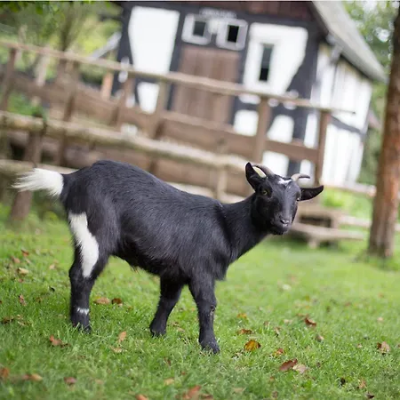 Bio Ferienbauernhof Voss * שמאלנברג