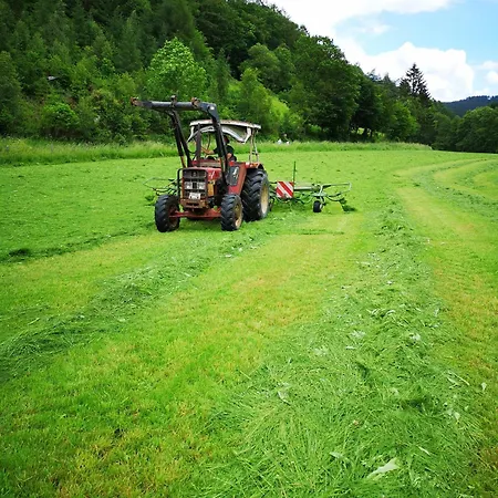 Bio Ferienbauernhof Voss *