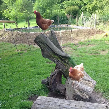 דירה Bio Ferienbauernhof Voss