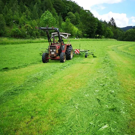 Bio Ferienbauernhof Voss *