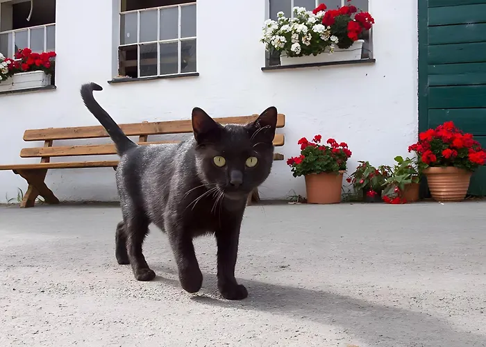 Lejlighed Bio Ferienbauernhof Voss *