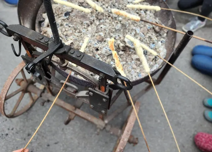 Bio Ferienbauernhof Voss Lejlighed Schmallenberg