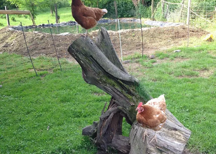 Lejlighed Bio Ferienbauernhof Voss