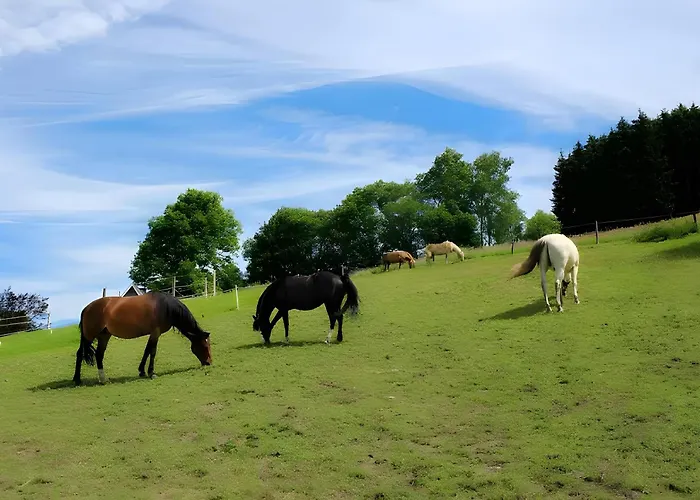Bio Ferienbauernhof Voss