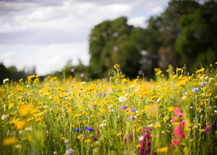 Bio Ferienbauernhof Voss Lejlighed Schmallenberg