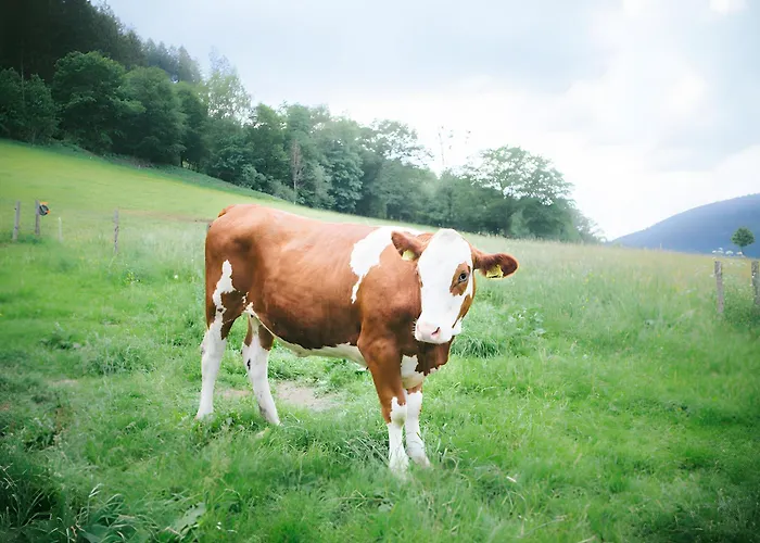 Bio Ferienbauernhof Voss *