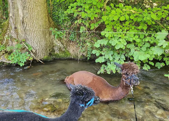 Bio Ferienbauernhof Voss Lejlighed *