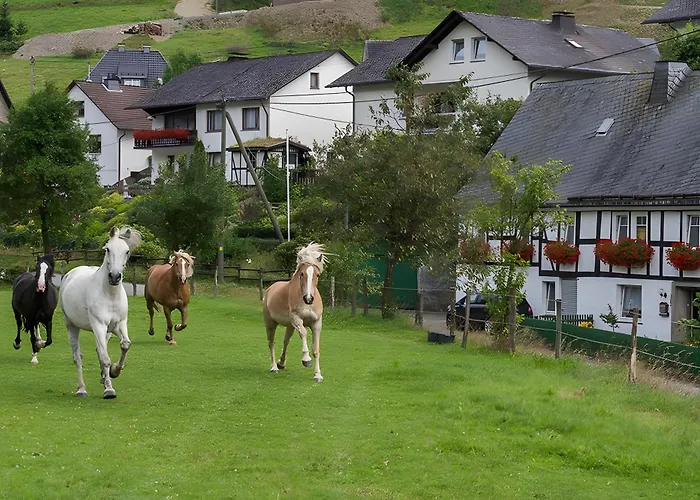 Bio Ferienbauernhof Voss Lejlighed Schmallenberg
